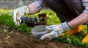 Planting and softscaping